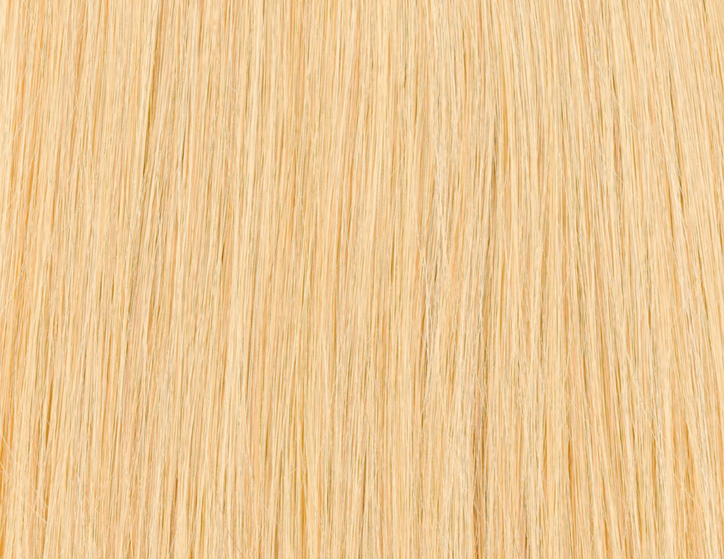 Premium Tresse in Honigblond