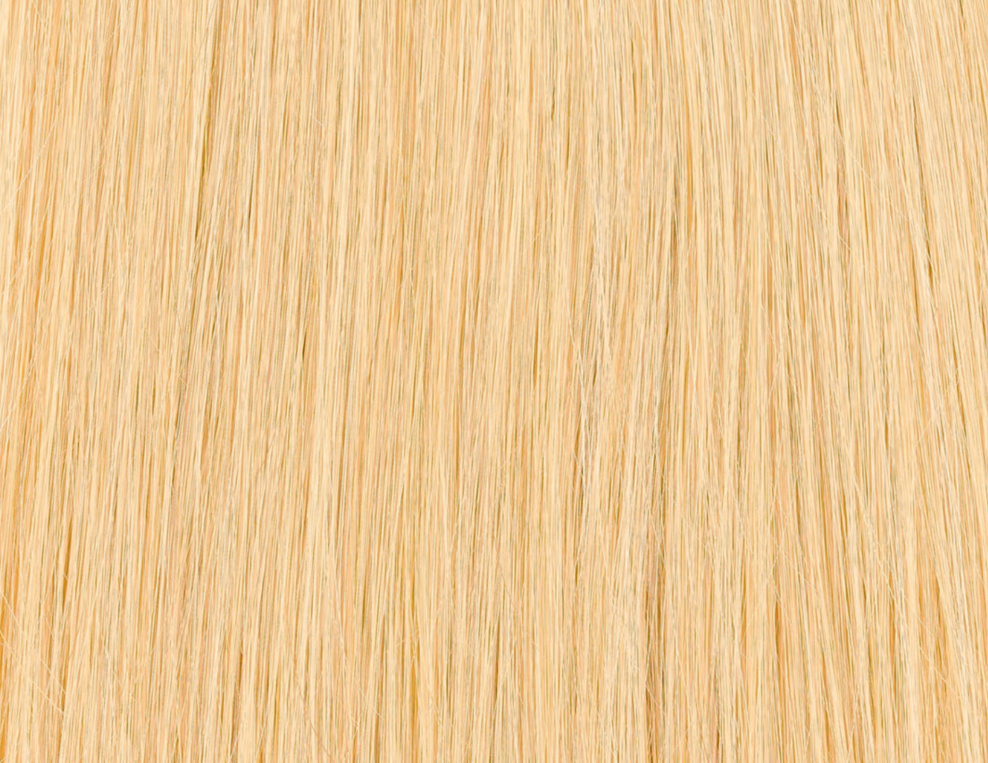 Premium Tresse in Honigblond