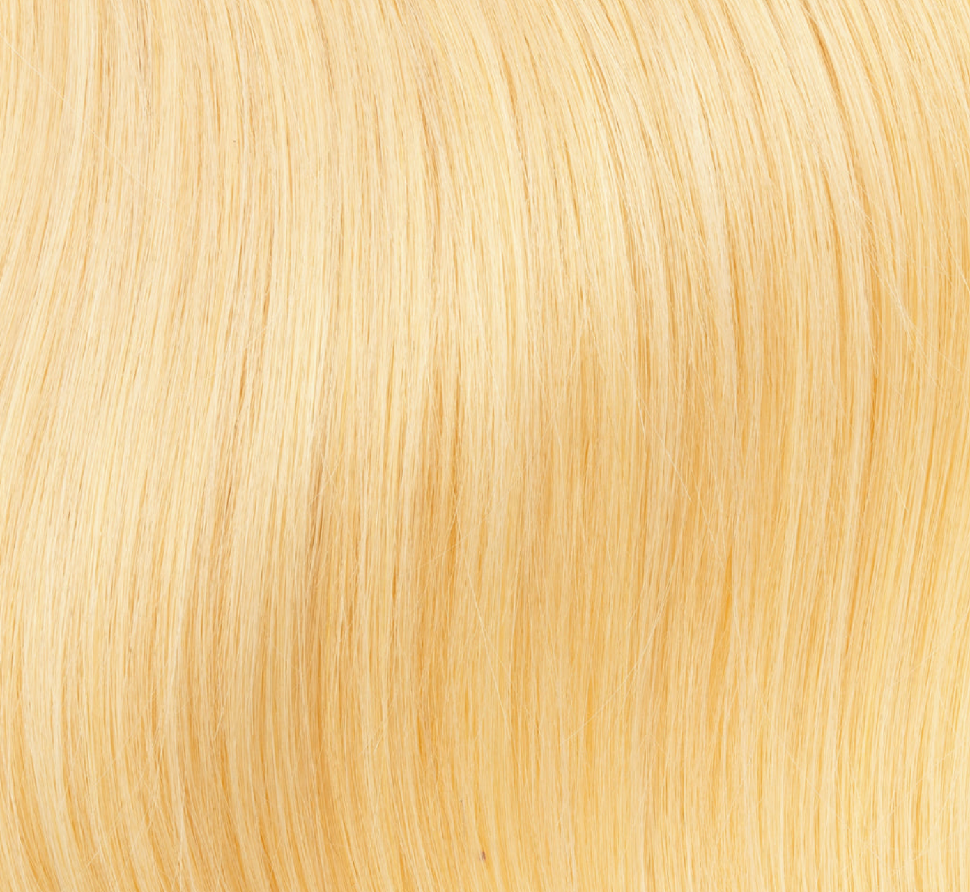Premium Tresse in Platinblond