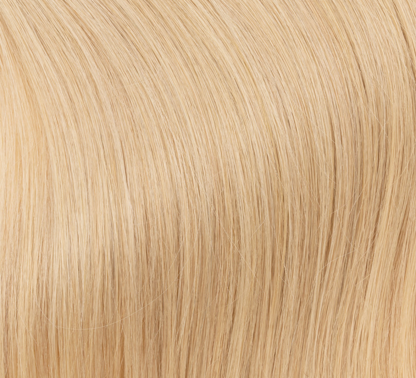 Premium Tresse in Champagnerblond