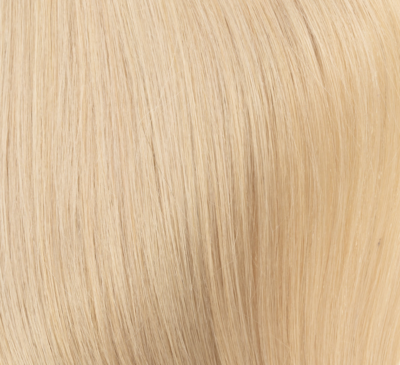 Premium Trennen in Beigeblond