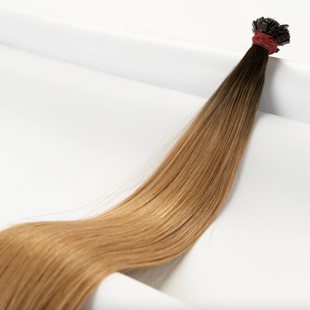 Premium Tresse in Balayage