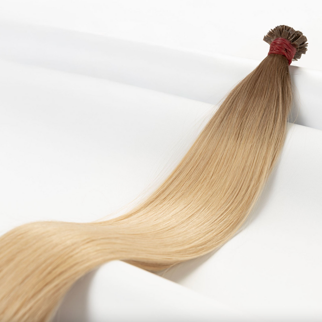 Premium Tresse in Balayage
