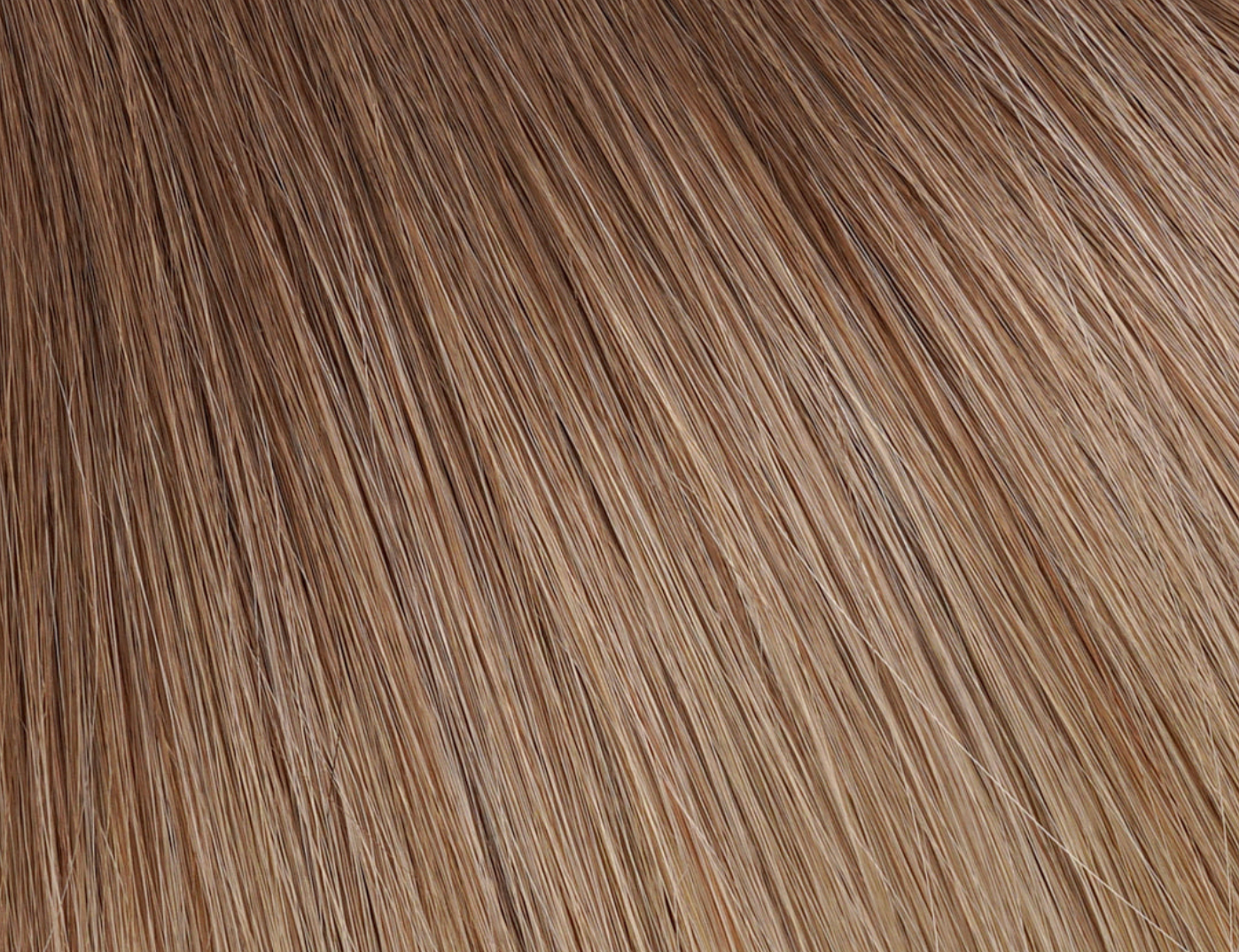 Premium Tresse in Balayage