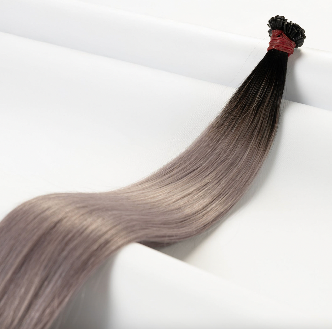 Premium Tresse in Balayage